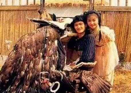 第4张图片