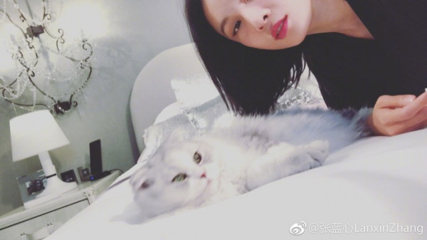 第4张图片