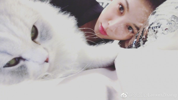 第5张图片