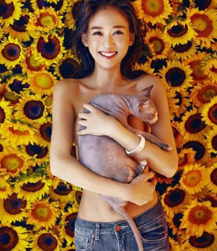 第4张图片