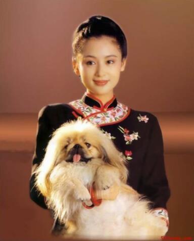 第2张图片