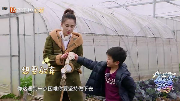 第2张图片