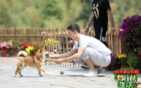 第16张图片